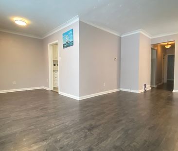 For Lease - 157 Sussex Avenue, Richmond Hill, Ontario - Photo 4