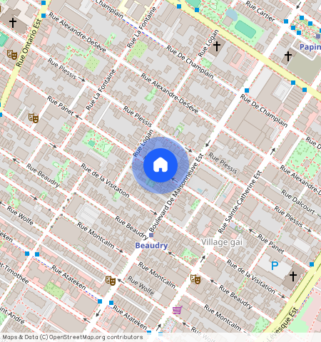 Rue Panet, Ville-Marie, Ville-Marie, Ile de Montréal, H2L 2X6