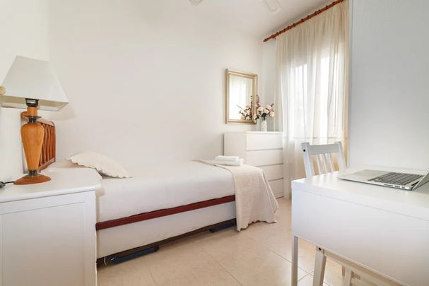 Calle Nicasio Gallego, Sevilla, Andalusia 41008 - Photo 1