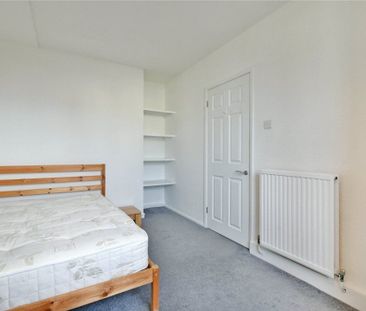 Springfield Lane - Photo 6