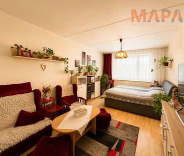 Pronájem bytu 1+1 39 m² - Photo 3