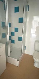 Location Appartement 1 pièce 34m² ST ETIENNE 42000 - Photo 4