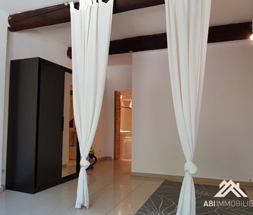 Location Appartement 1 pièce 25m² MONTPELLIER 34000 - Photo 3