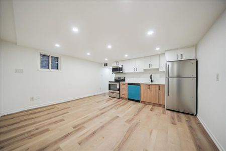 For Lease - 343 Greenwood Avenue Unit# Basement, Toronto, Ontario - Photo 5