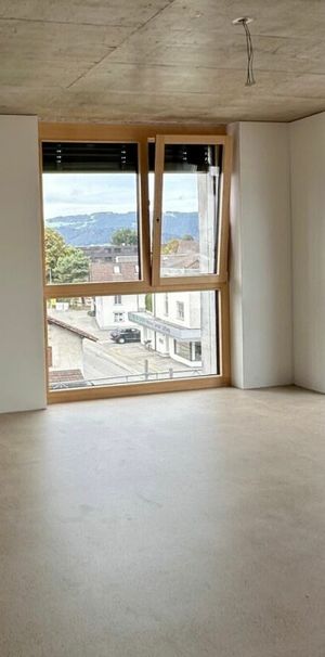 Oberdorfstrasse, 9444 Diepoldsau - Photo 1