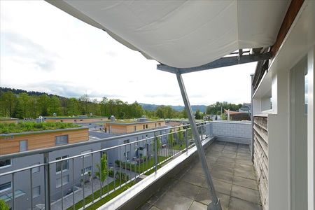 Schöne Duplexwohnung mit grosser Dachterrasse - Foto 3