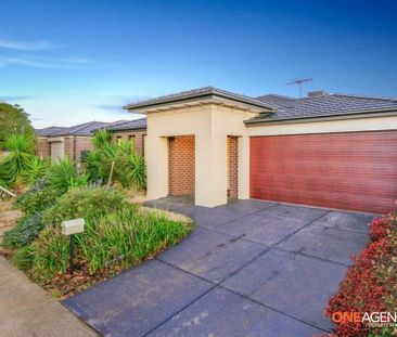 37 Turpentine Road - Photo 4