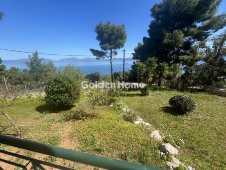 Διαμέρισμα για ενοικίαση Θεολόγος (Μαλεσίνα) - Φωτογραφία 3