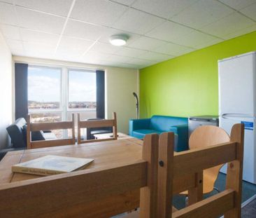 4 bedroom flat share to rent - Photo 1