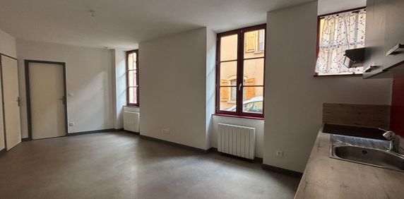Location Appartement 2 pièces 33m² CHARLIEU 42190 - Photo 2