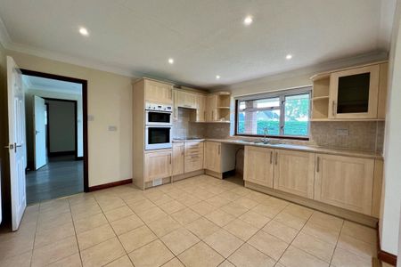 The Street - Photo 5