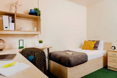 Standard Plus - Photo 2