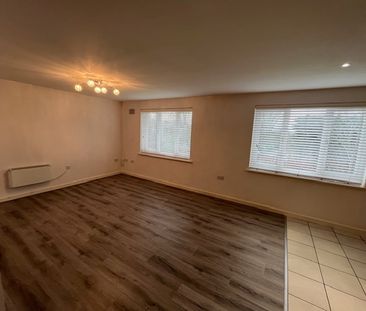 IVES HOUSE – ERCOLANI AVENUE - Photo 6