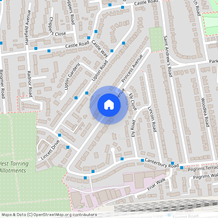 Princess Avenue, Worthing BN13