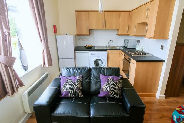 1 bedroom flat to rent - Photo 1