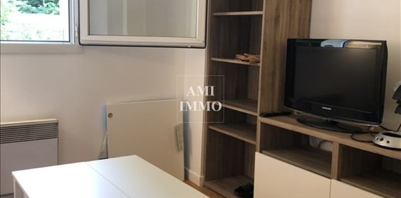 Location Appartement 1 pièce 12m² BIEVRES 91570 - Photo 2