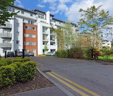 1 bedroom apartment to rent - Photo 3