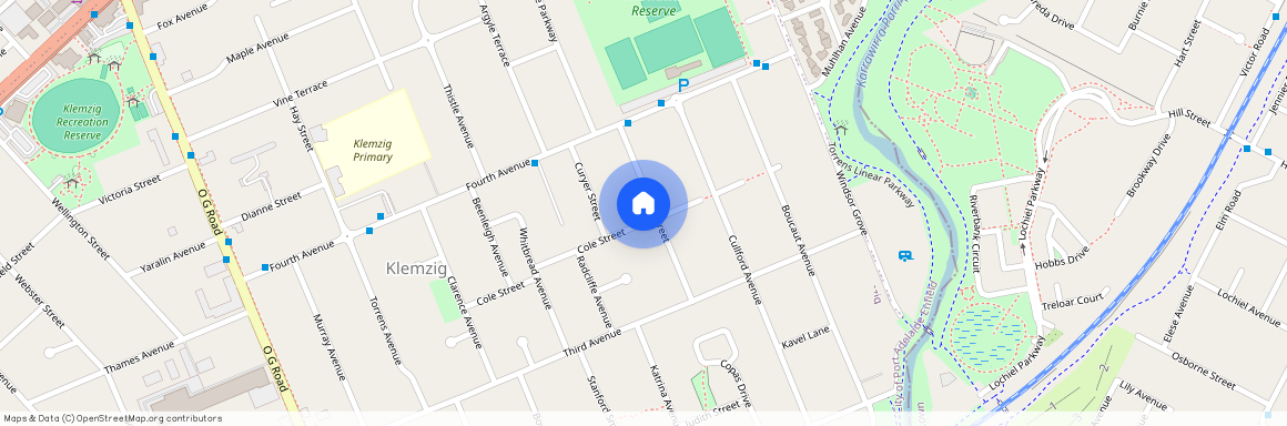 15 Abbott Street, SA 5087, Klemzig