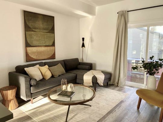 Edmonton Unfurnished townhouse Rental in West Jasper Place - Be the FIRST To Live In This Conteporary NEW Townhome - Photo 1