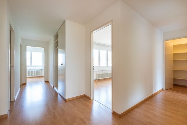 SCHÖNE WOHNUNG IN RUHIGER UMGEBUNG - Foto 1