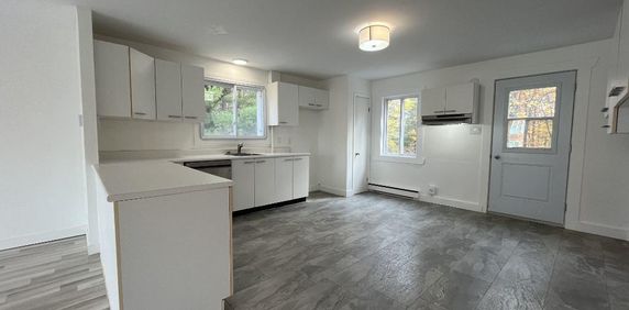 Beau grand 4 et demi lumineux et tranquille - Photo 2