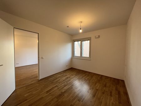 2 ZIMMER UND GARTEN - WOHNHAUSANLAGE SCHLEIERGASSE - Foto 5