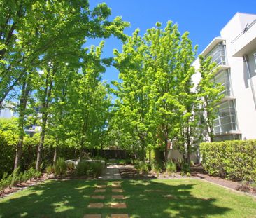 15/31 Howitt Street, Kingston ACT 2604 - Apartment For Rent | Domain - Photo 6