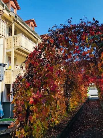 3 Zimmer, 79 m² - Photo 4