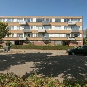 Hogeschoorweg, 5911 EJ Venlo, Nederland - Photo 2