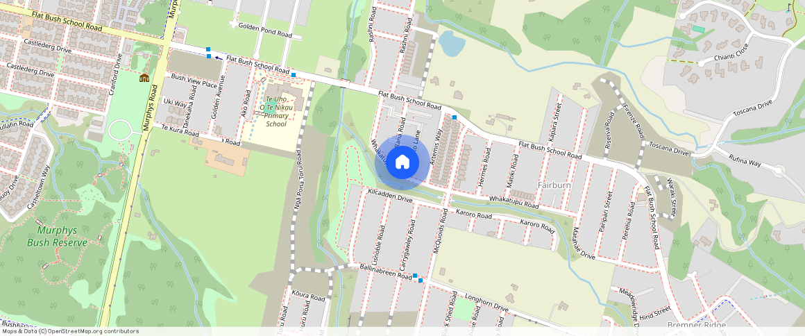 56 Whakatupu Road, Flat Bush, Manukau City