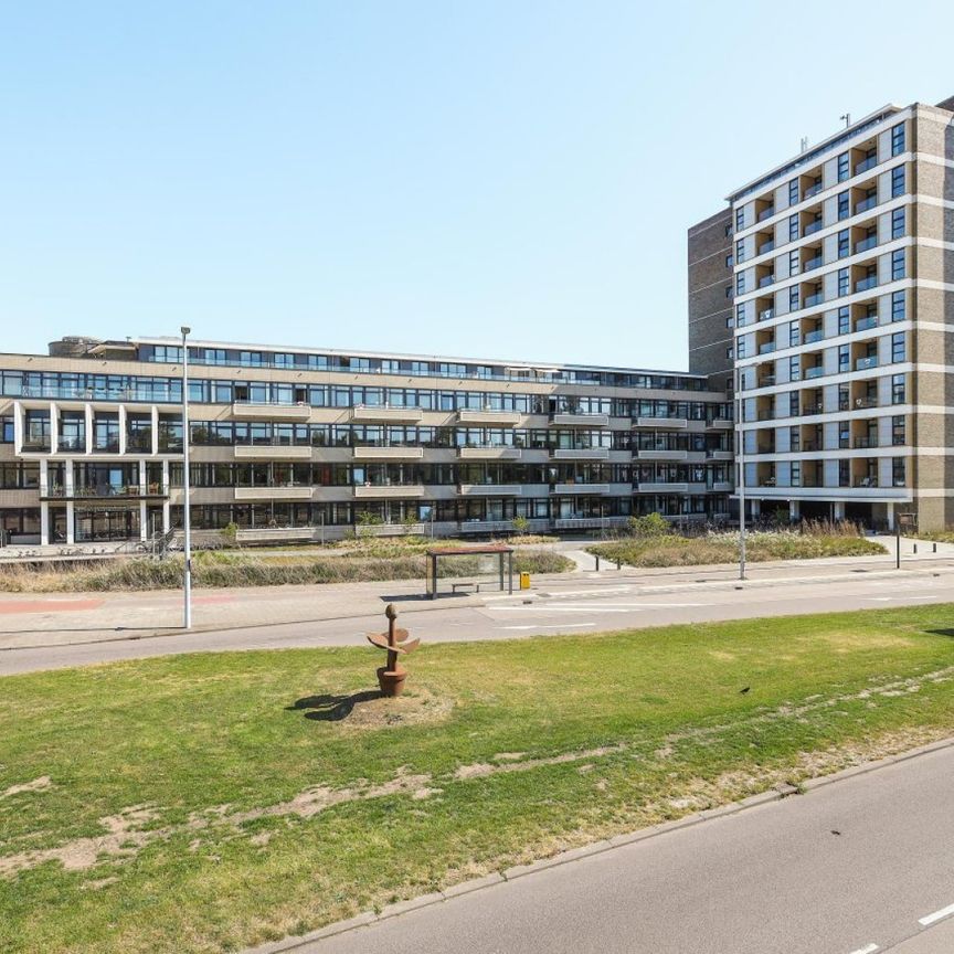Te huur: Nijenoord 243 - Photo 1