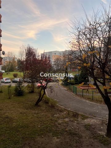 Katowice - Zdjęcie 5