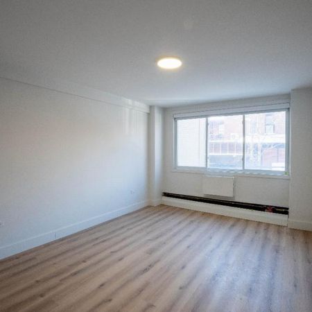 1 MOIS GRATUIT – Studio et 1 Ch. à 2 pas des Universités à louer Montreal - appartement / logement - Photo 3