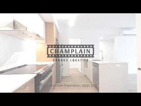 1415 Avenue Papineau, Ville-Marie, QC - Photo 3