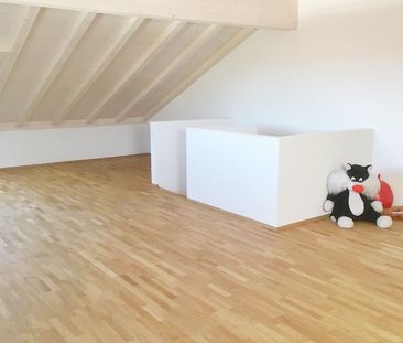Modernes 5.5-Zimmer-Doppelhaus an ruhiger Lage in Schmitten FR - Foto 2