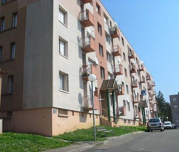 Location - Appartement T3 - 62 m² - Sochaux - Photo 3