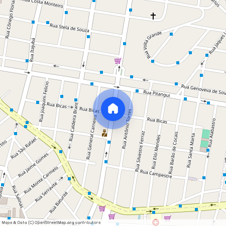 Rua Bicas, Sagrada Família, Belo Horizonte
