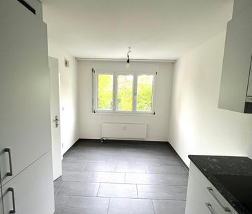 4.5 Zimmerwohnung Nähe Gartenbad Aesch - Photo 4