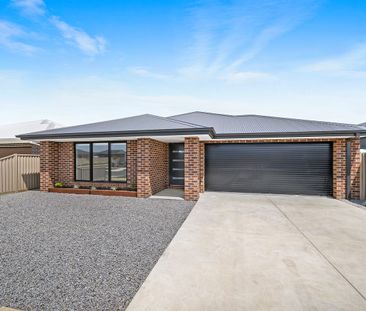 Large Family Home, Four Bedrooms, Two Bathrooms, Two Living, Double... - Photo 5