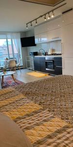 Modern Furnished, Dog ok, 1 bed/1 bath - Photo 3