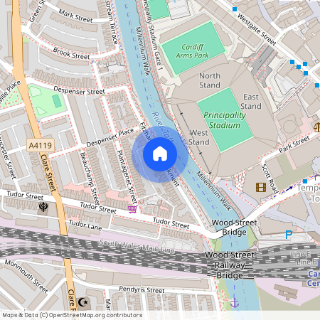 Fitzhamon Embankment, Cardiff. CF11 6AN