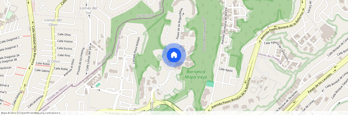 Paseo de las Bugambilias, Lomas de Vista Hermosa, 05100 Mexico City, CMX, Mexico
