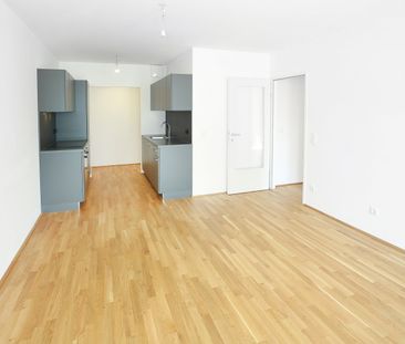 DER BALLON - ANKOMMEN UND ABHEBEN - NATURNAHES WOHNEN NAHE DER SEES... - Photo 3