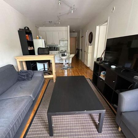 1 CH - 1 SDB - Montréal - $1,300 /mo - Photo 4