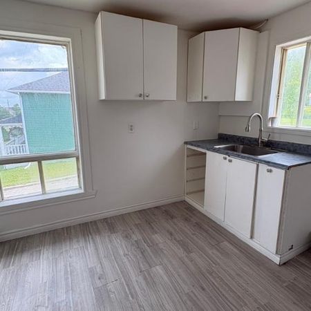 Appartement 3 1/2 à st-Paul-de-Montminy - Photo 3