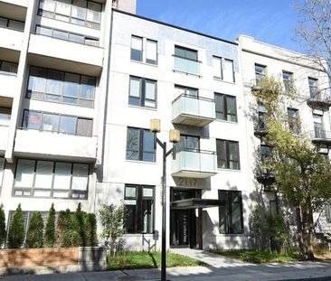 Appartement Ville-Marie (Centre-Ville, Vieux-Montréal) À Louer - Photo 2