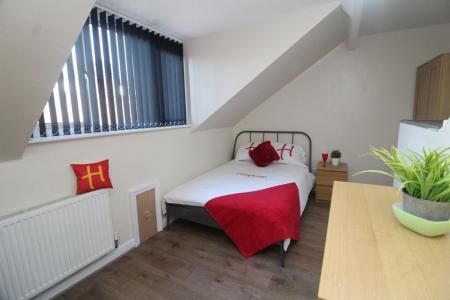 Filey Street, S10 - Photo 4