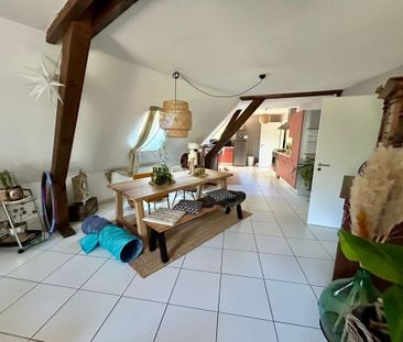 Location Appartement 3 pièces 89m² ROPPENTZWILLER 68480 - Photo 3