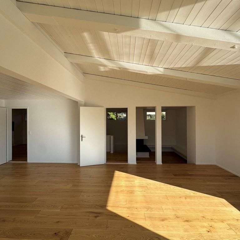 Frisch saniertes 4.5-Zimmer-Einfamilienhaus mit traumhafter Seesicht - Photo 1