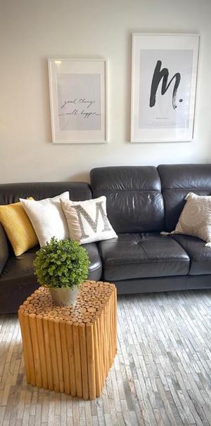 Magnifique condo rénové 4½ de 750 pi² face au parc Père-Marquette, Rosemont Petite Patrie. Dispo 15 juillet. - Photo 1